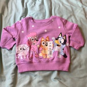 Girls Bluey Sweatshirt